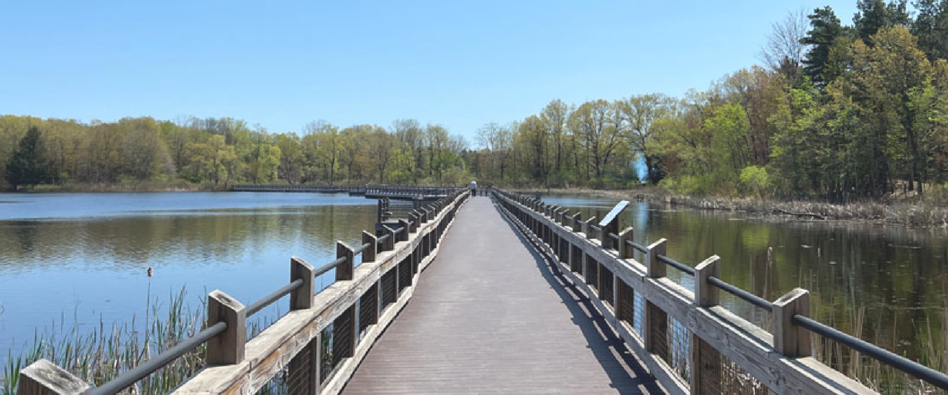 The Ultimate Guide to Obtaining a Handicap Parking Permit in Kent County, Michigan