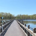 The Ultimate Guide to Obtaining a Handicap Parking Permit in Kent County, Michigan