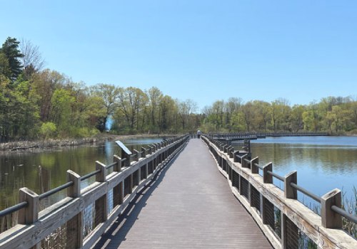 The Ultimate Guide to Obtaining a Handicap Parking Permit in Kent County, Michigan